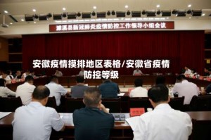 安徽疫情摸排地区表格/安徽省疫情防控等级