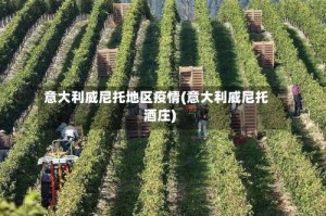 意大利威尼托地区疫情(意大利威尼托酒庄)