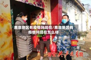 鹿泉地区有疫情吗现在/鹿泉地区有疫情吗现在怎么样