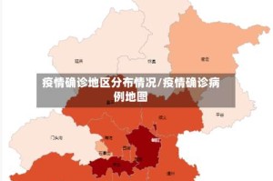 疫情确诊地区分布情况/疫情确诊病例地图
