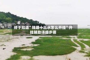 终于知道”钱塘十三水怎么开挂”开挂辅助详细步骤