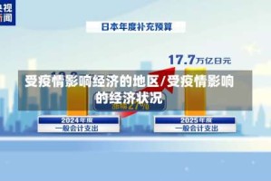 受疫情影响经济的地区/受疫情影响的经济状况