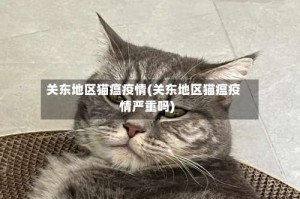 关东地区猫瘟疫情(关东地区猫瘟疫情严重吗)