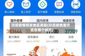 印尼疫情频发地区原因(印尼疫情重灾区在哪个城市)