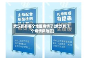 武汉都有哪个地区疫情了(武汉有几个疫情风险区)