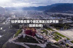 拉萨疫情在哪个地区爆发(拉萨有新冠肺炎吗)