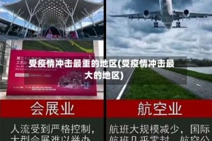 受疫情冲击最重的地区(受疫情冲击最大的地区)