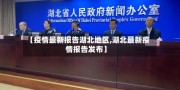 【疫情最新报告湖北地区,湖北最新疫情报告发布】