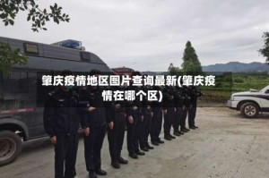 肇庆疫情地区图片查询最新(肇庆疫情在哪个区)