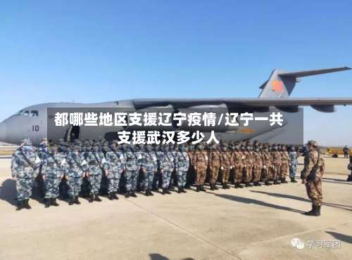 都哪些地区支援辽宁疫情/辽宁一共支援武汉多少人-第2张图片