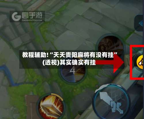 教程辅助!“天天贵阳麻将有没有挂	”(透视)其实确实有挂-第2张图片