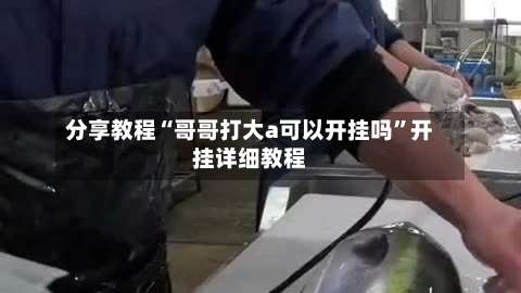 分享教程“哥哥打大a可以开挂吗”开挂详细教程-第1张图片