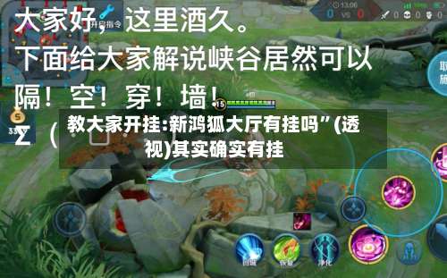 教大家开挂:新鸿狐大厅有挂吗	”(透视)其实确实有挂-第2张图片