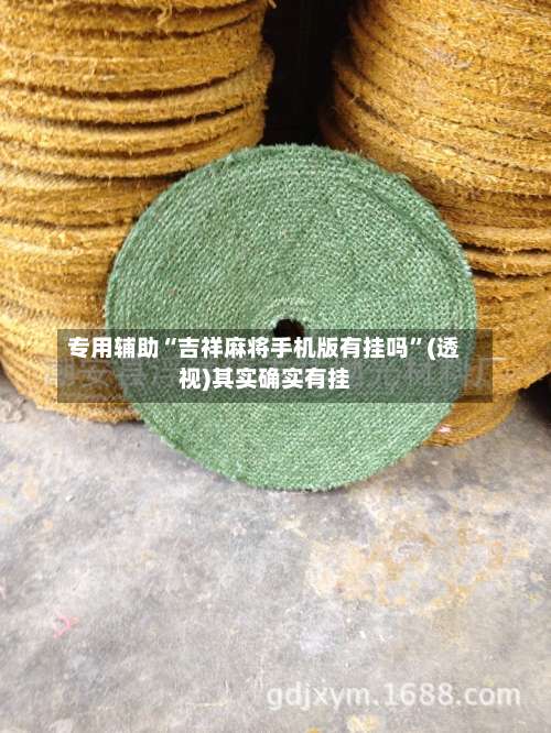 专用辅助“吉祥麻将手机版有挂吗”(透视)其实确实有挂-第2张图片