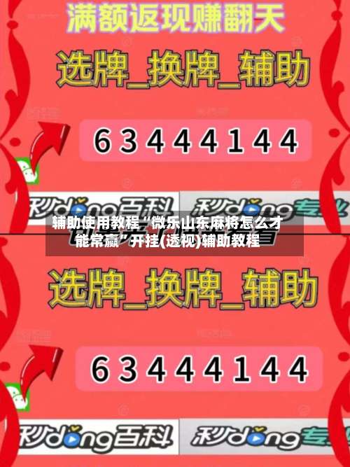 辅助使用教程“微乐山东麻将怎么才能常赢”开挂(透视)辅助教程-第3张图片