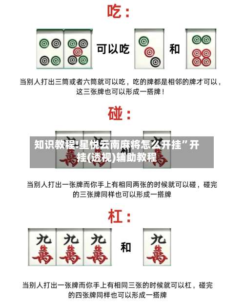 知识教程!星悦云南麻将怎么开挂”开挂(透视)辅助教程-第1张图片