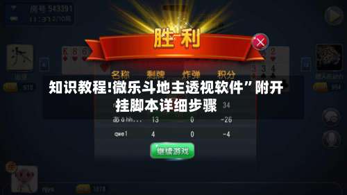 知识教程!微乐斗地主透视软件”附开挂脚本详细步骤-第3张图片