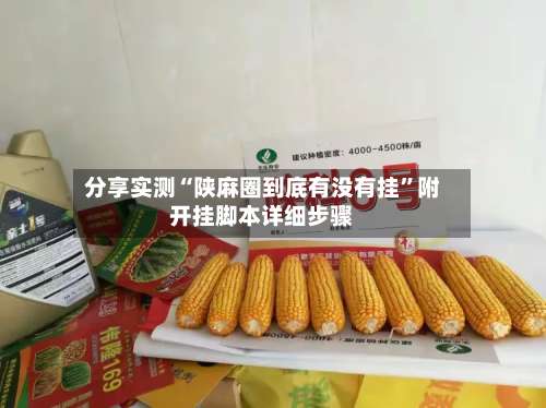 分享实测“陕麻圈到底有没有挂”附开挂脚本详细步骤-第1张图片