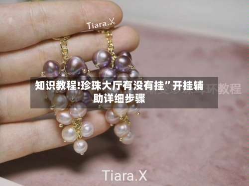 知识教程!珍珠大厅有没有挂	”开挂辅助详细步骤-第2张图片