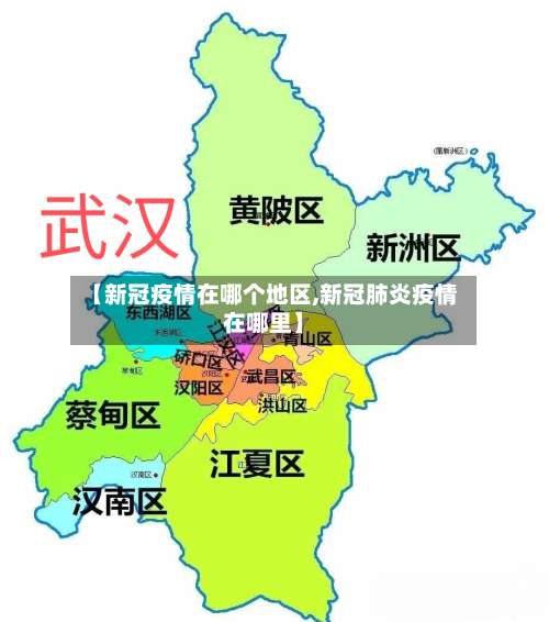 【新冠疫情在哪个地区,新冠肺炎疫情在哪里】-第1张图片