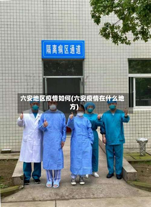 六安地区疫情如何(六安疫情在什么地方)-第2张图片