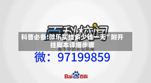 科普必备!微乐买挂多少钱一天”附开挂脚本详细步骤-第2张图片