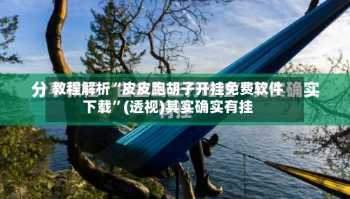 教程解析“皮皮跑胡子开挂免费软件下载”(透视)其实确实有挂-第1张图片