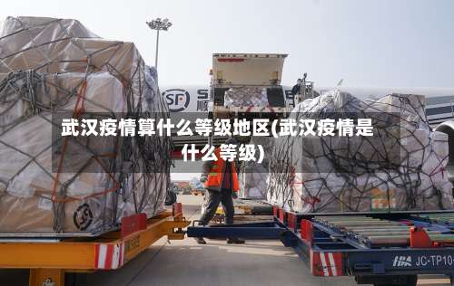 武汉疫情算什么等级地区(武汉疫情是什么等级)-第1张图片