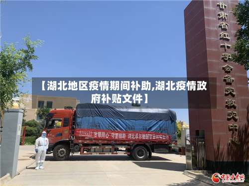 【湖北地区疫情期间补助,湖北疫情政府补贴文件】-第2张图片