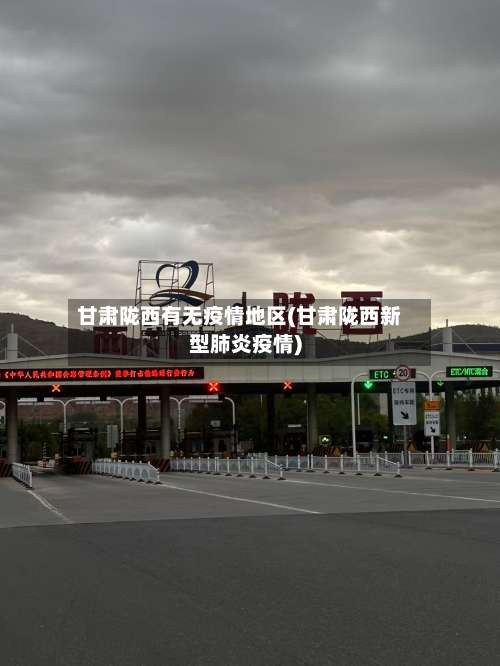 甘肃陇西有无疫情地区(甘肃陇西新型肺炎疫情)-第3张图片