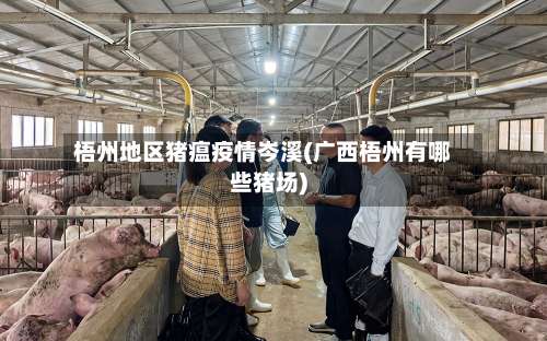 梧州地区猪瘟疫情岑溪(广西梧州有哪些猪场)-第2张图片