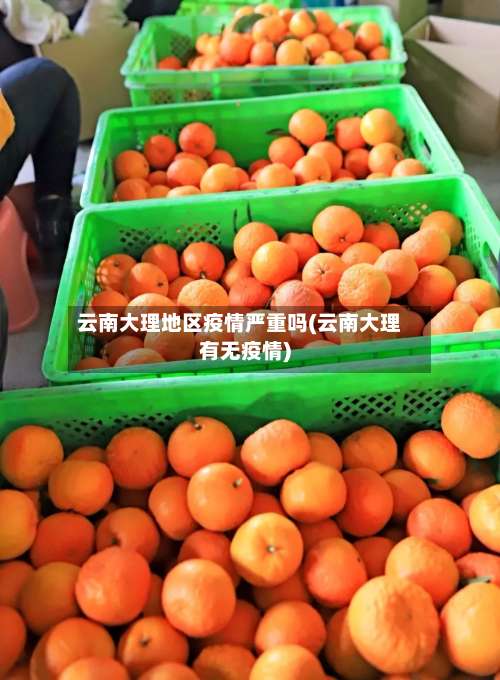云南大理地区疫情严重吗(云南大理有无疫情)-第2张图片