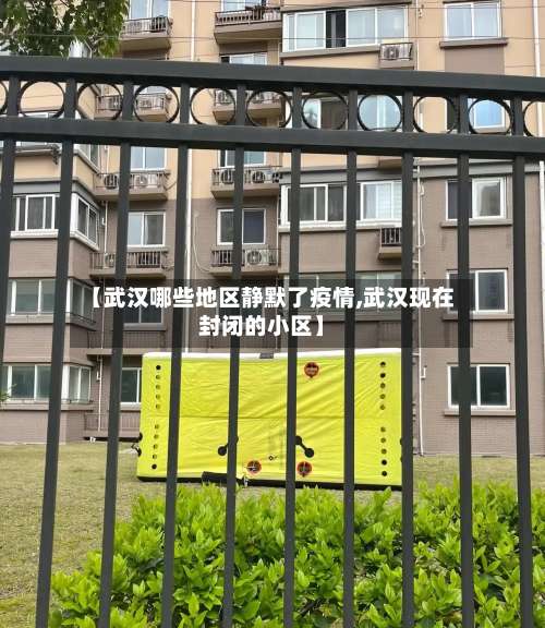 【武汉哪些地区静默了疫情,武汉现在封闭的小区】-第3张图片