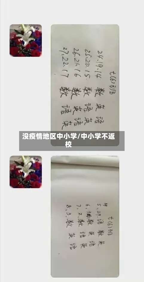 没疫情地区中小学/中小学不返校-第3张图片