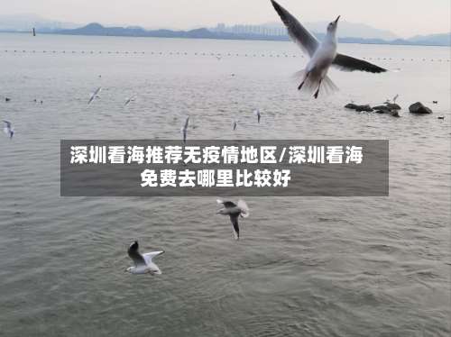 深圳看海推荐无疫情地区/深圳看海免费去哪里比较好-第1张图片