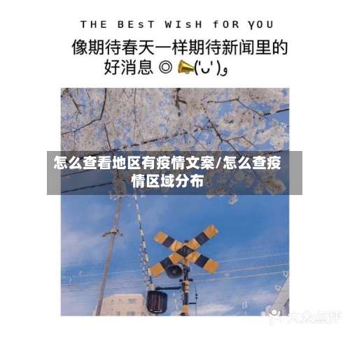 怎么查看地区有疫情文案/怎么查疫情区域分布-第1张图片