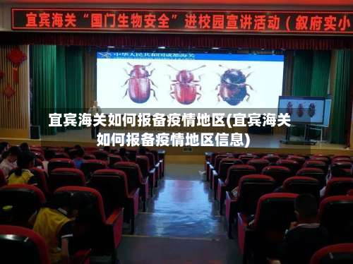 宜宾海关如何报备疫情地区(宜宾海关如何报备疫情地区信息)-第1张图片