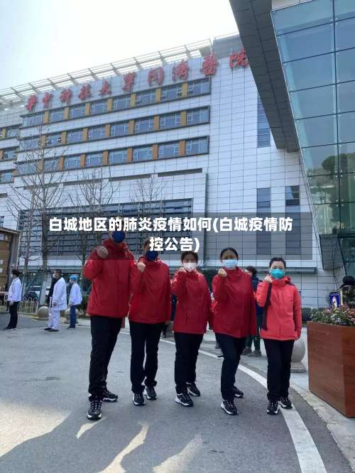 白城地区的肺炎疫情如何(白城疫情防控公告)-第3张图片