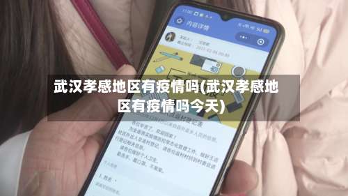 武汉孝感地区有疫情吗(武汉孝感地区有疫情吗今天)-第1张图片