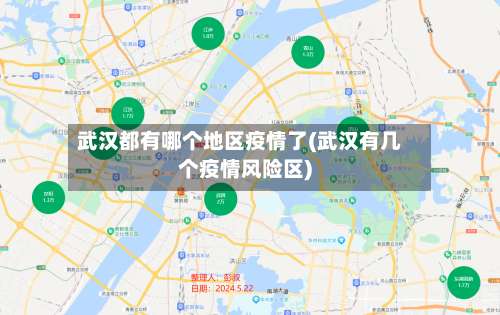 武汉都有哪个地区疫情了(武汉有几个疫情风险区)-第3张图片