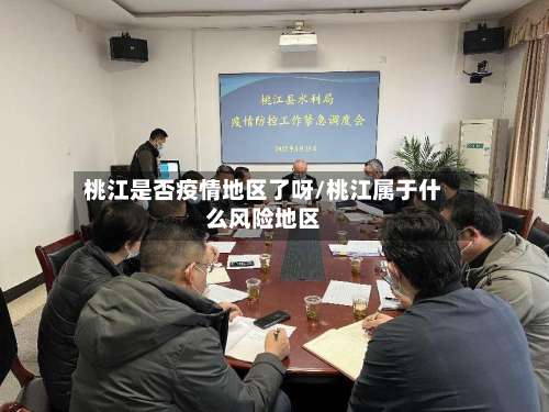 桃江是否疫情地区了呀/桃江属于什么风险地区-第2张图片