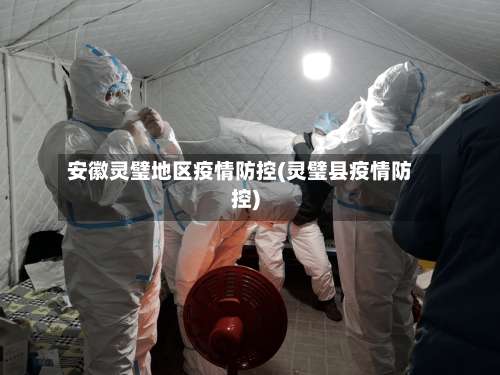 安徽灵璧地区疫情防控(灵璧县疫情防控)-第1张图片