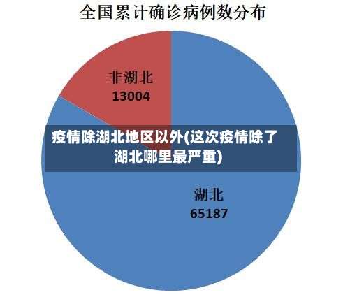 疫情除湖北地区以外(这次疫情除了湖北哪里最严重)-第2张图片