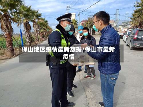 保山地区疫情最新数据/保山市最新疫情-第3张图片