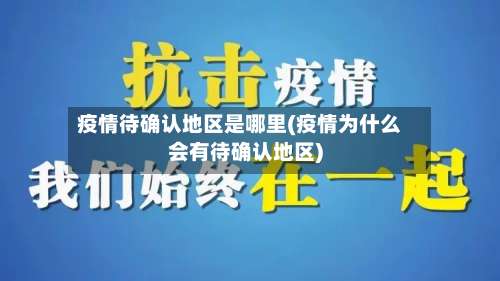 疫情待确认地区是哪里(疫情为什么会有待确认地区)-第2张图片