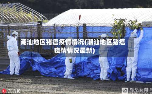 潮汕地区猪瘟疫情情况(潮汕地区猪瘟疫情情况最新)-第1张图片