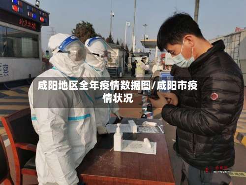 咸阳地区全年疫情数据图/咸阳市疫情状况-第2张图片