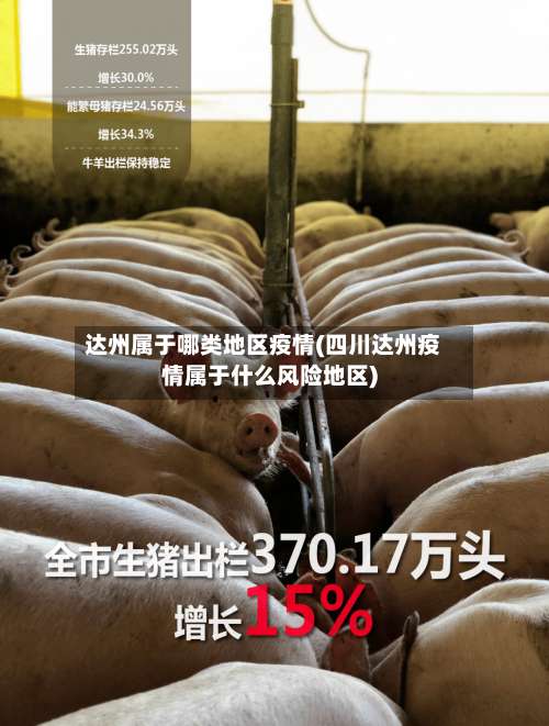 达州属于哪类地区疫情(四川达州疫情属于什么风险地区)-第1张图片