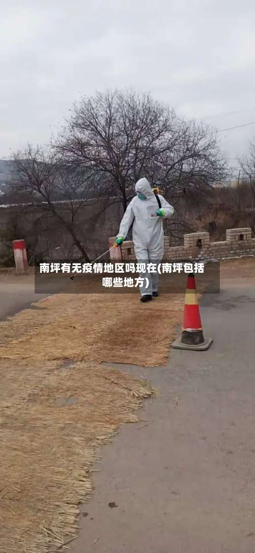 南坪有无疫情地区吗现在(南坪包括哪些地方)-第2张图片