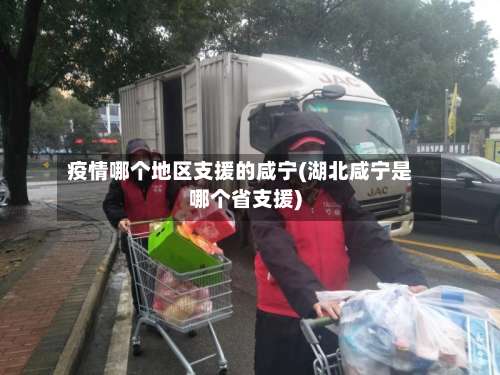 疫情哪个地区支援的咸宁(湖北咸宁是哪个省支援)-第1张图片